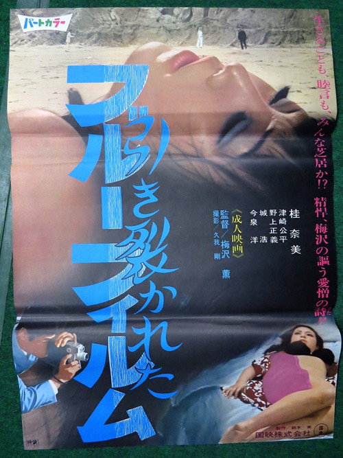 Póster de 引き裂かれたブルーフィルム