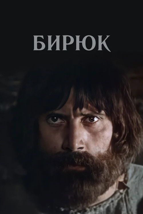 Póster de Бирюк