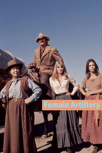 Póster de Female Artillery