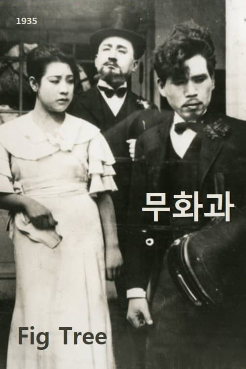 Póster de 무화과
