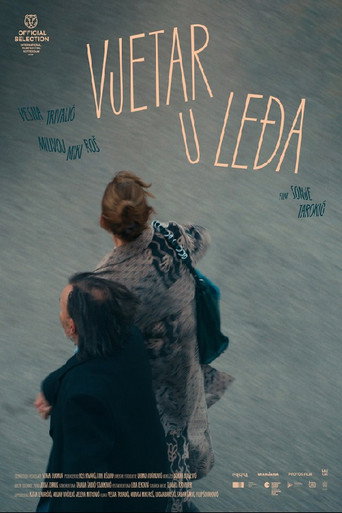 Póster de Vjetar u leđa