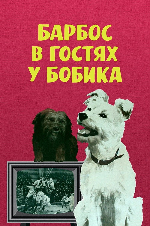 Póster de Барбос в гостях у Бобика