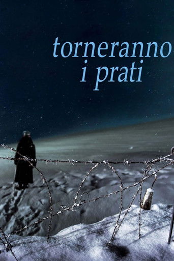 Póster de Torneranno i prati