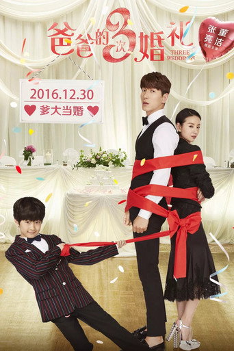 Póster de 爸爸的3次婚礼