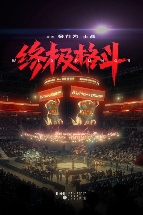 Póster de 终极格斗
