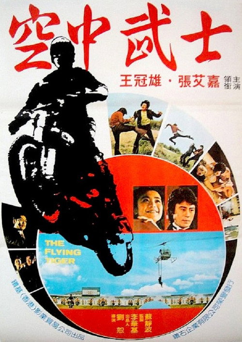 Póster de 飛虎小霸王