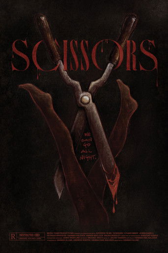 Póster de Scissors