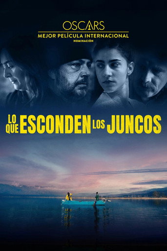 Póster de Behind the Haystacks