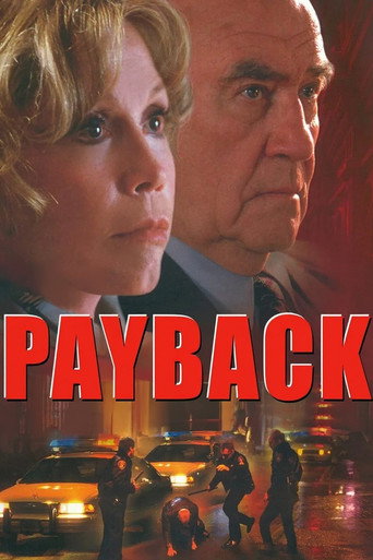 Póster de Payback