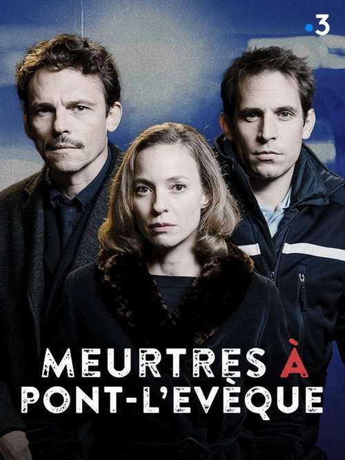 Póster de Meurtres à Pont-L'Évêque