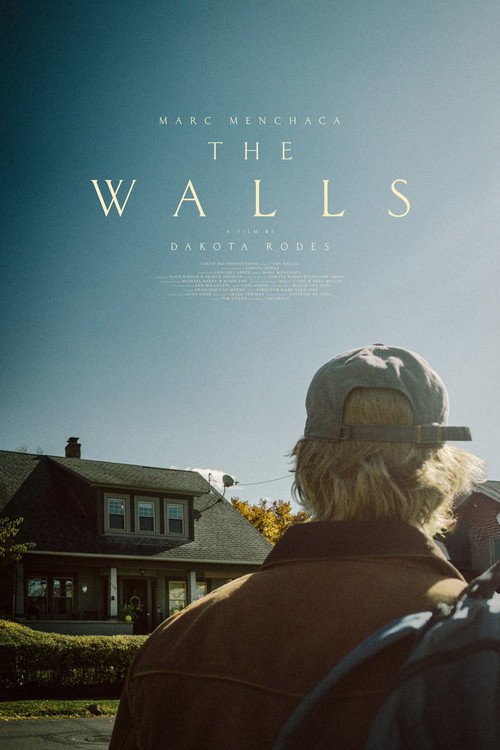 Póster de The Walls