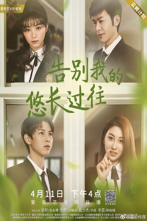 Póster de 告别我的悠长过往