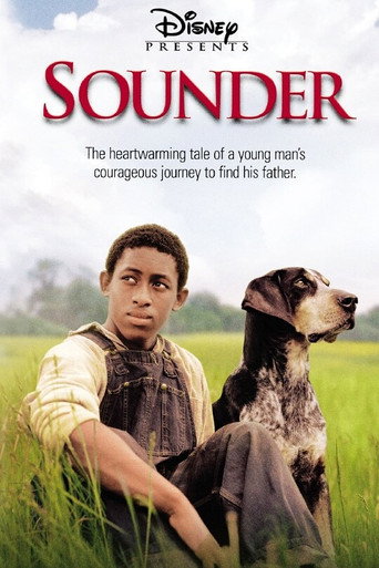 Póster de Sounder