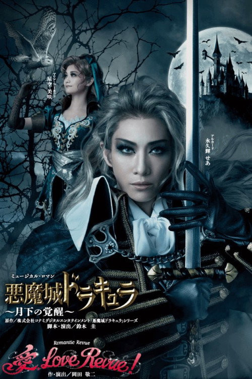 Póster de Castlevania: Awakening in the Moonlight