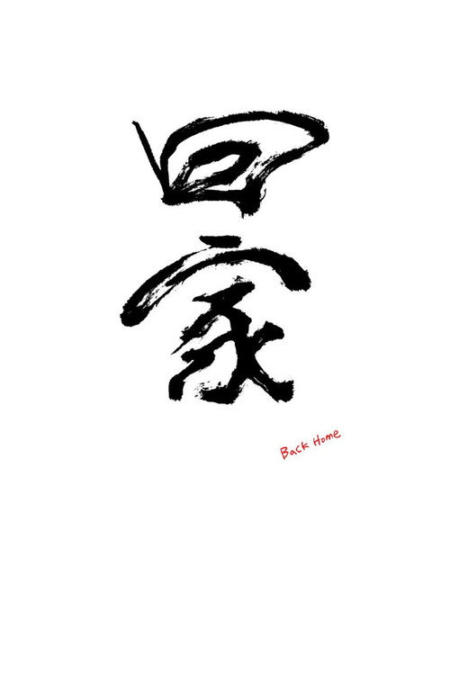 Póster de 回家