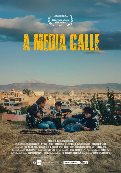 Póster de A media calle