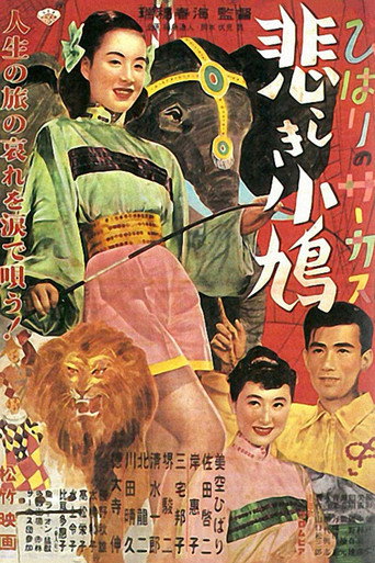 Póster de ひばりのサーカス 悲しき小鳩