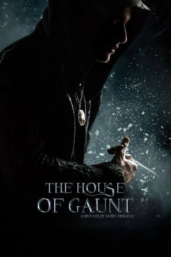 Póster de The House of Gaunt