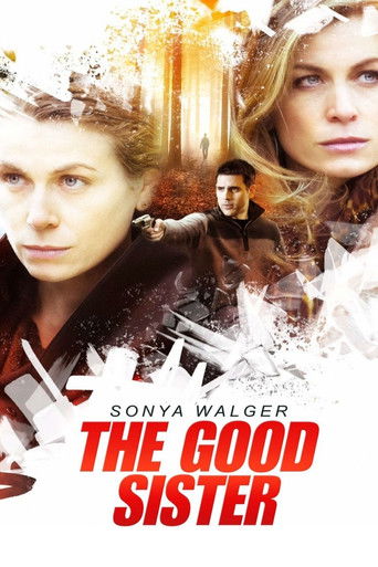 Póster de The Good Sister