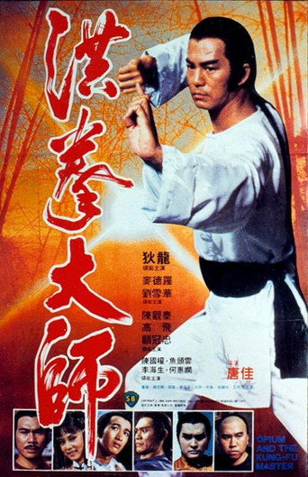 Póster de 洪拳大師