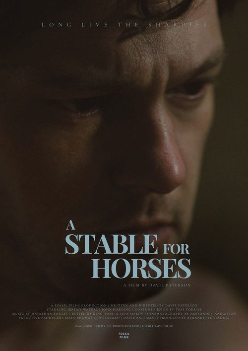 Póster de A Stable for Horses