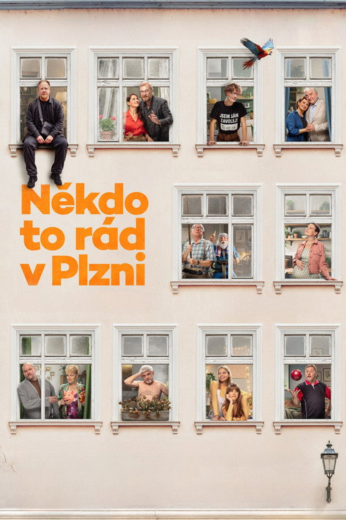 Póster de Někdo to rád v Plzni