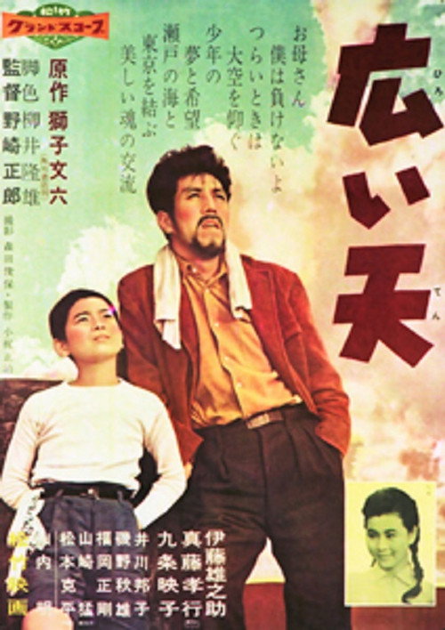 Póster de 広い天