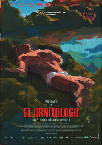 Póster de O Ornitólogo