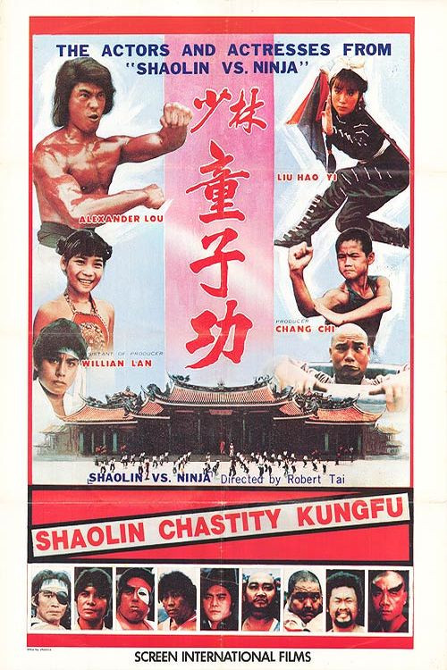 Póster de 少林童子功