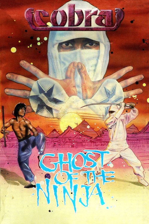 Póster de Shadow Ninja