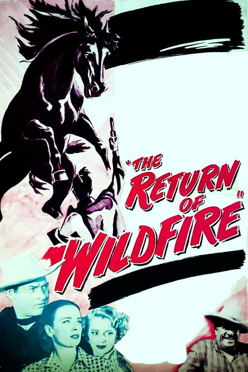 Póster de The Return of Wildfire