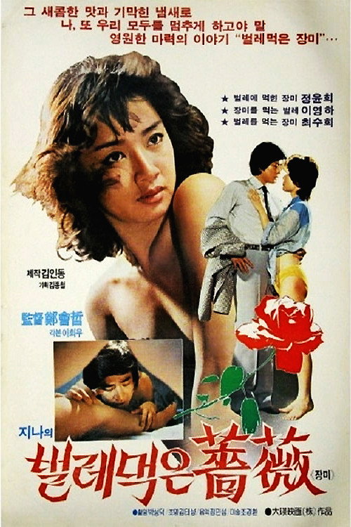 Póster de 진아의 벌레먹은 장미
