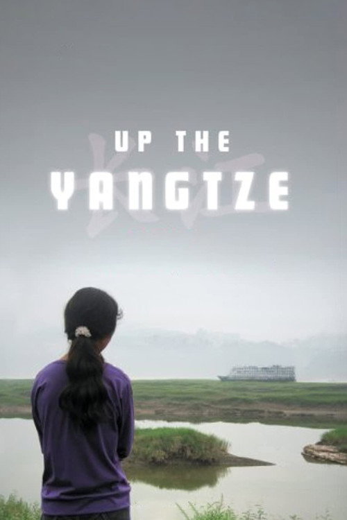 Póster de 沿江而上