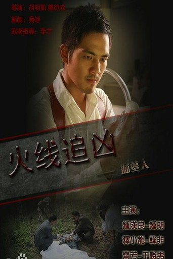 Póster de 火线追凶之掘墓人