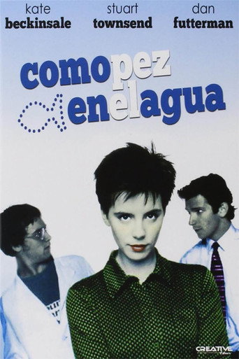 Póster de Shooting Fish