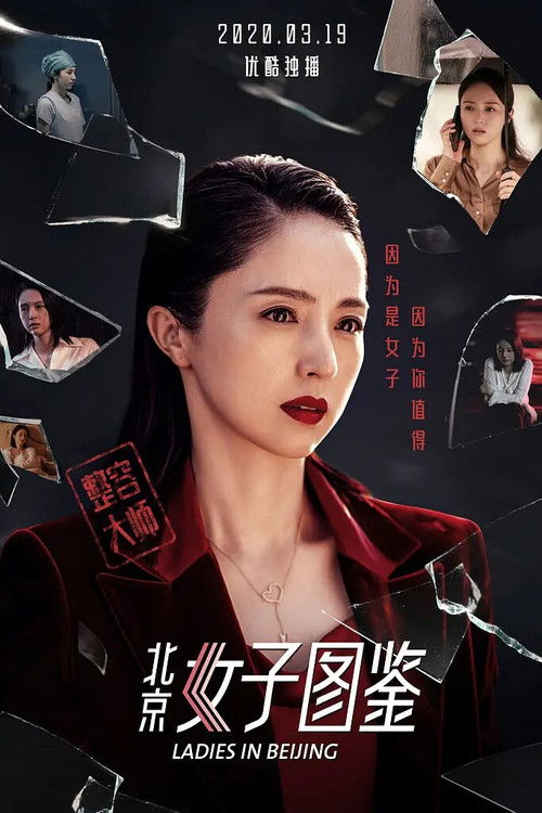 Póster de 北京女子图鉴之整容大师
