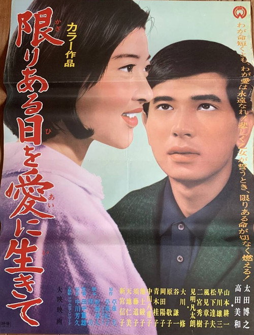 Póster de 限りある日を愛に生きて