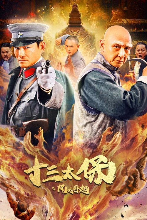 Póster de 十三太保之风云再起