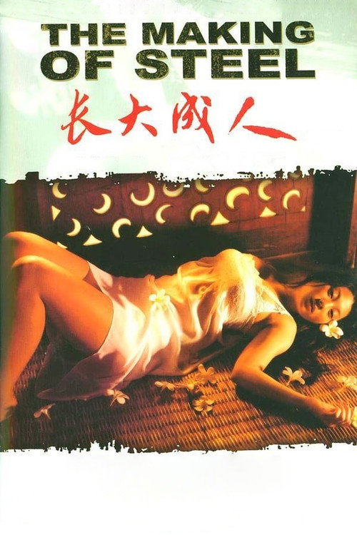 Póster de 长大成人