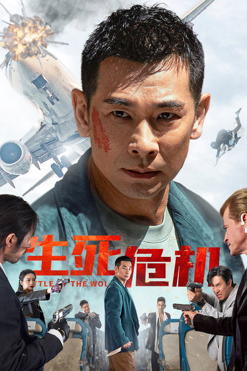 Póster de 生死危机