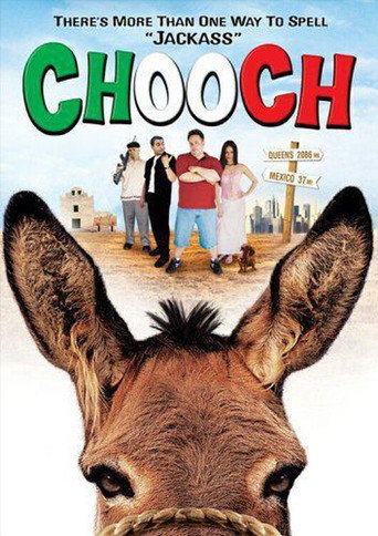 Póster de Chooch