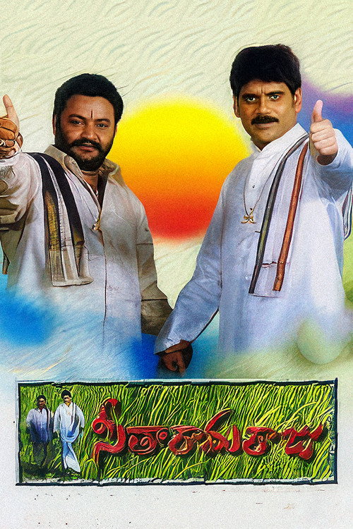 Póster de Seetharama Raju
