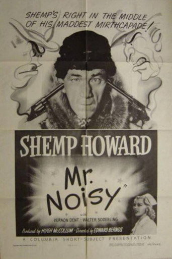 Póster de Mr. Noisy