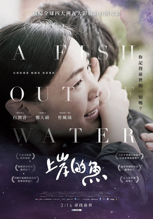 Póster de 上岸的魚