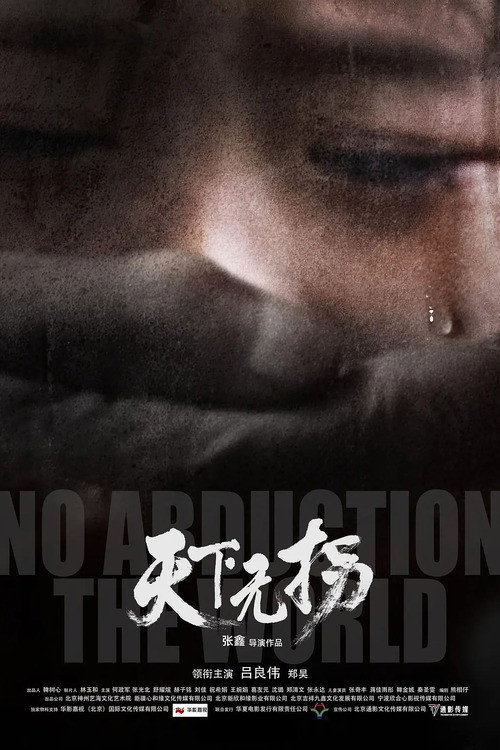 Póster de 天下无拐