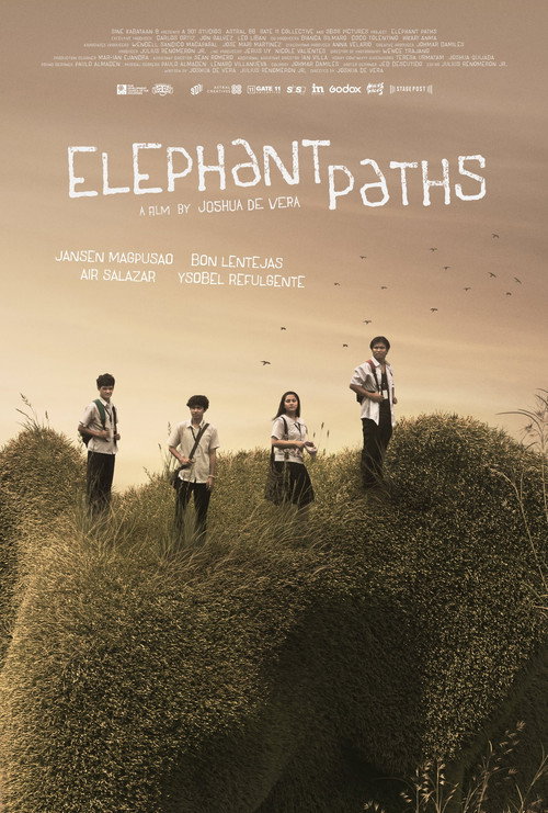 Póster de Elephant Paths
