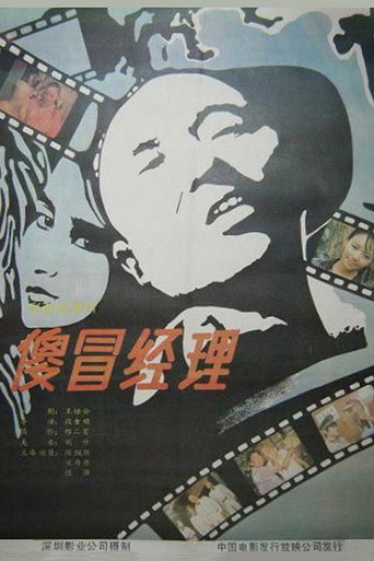 Póster de 傻冒经理