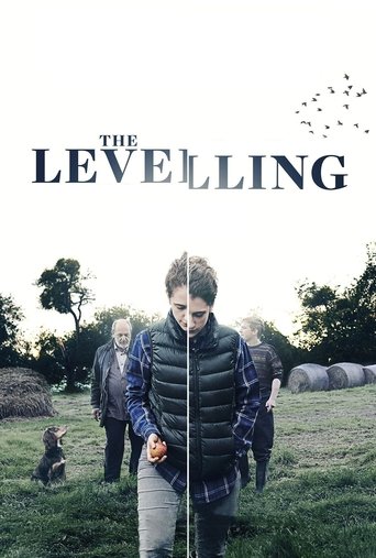 Póster de The Levelling