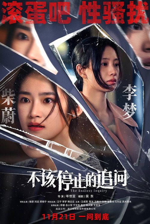 Póster de 不该停止的追问