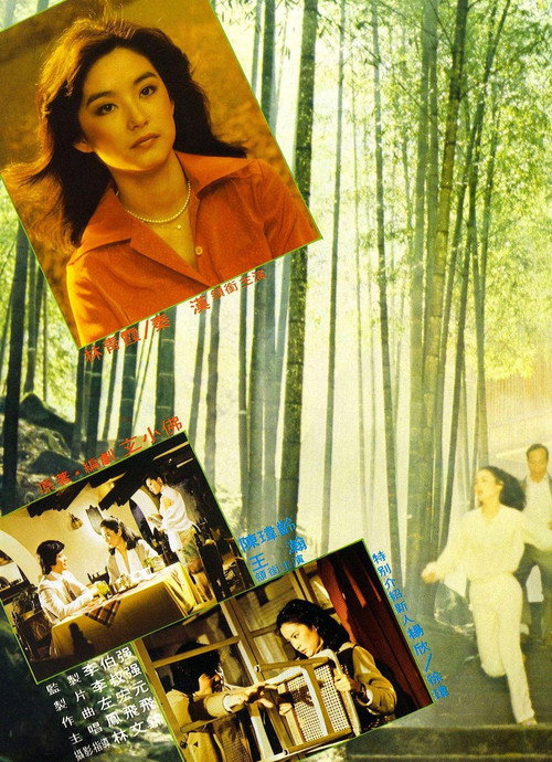 Póster de 晨霧